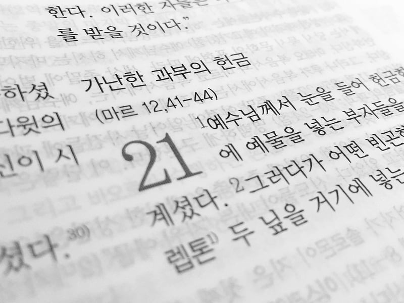 Language Translator Tools